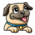 Pug Puppy Looking Out Color PNG