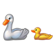 White Duck with yellow duckling