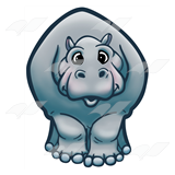 Gray Hippopotamus
