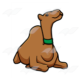Camel with Green Collar