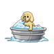 Puppy Taking Bath in washtub