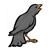 Raven Sitting Color PDF