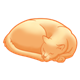 Orange Cat sleeping