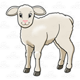 Woolly Lamb
