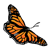 Monarch Butterfly Color PNG