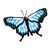 Light Blue Butterfly Color PNG