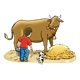 Milking a Cow cow, boy, hay, dog, pail