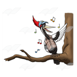 Singing Woodpecker
