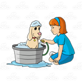 Girl Washing Dog