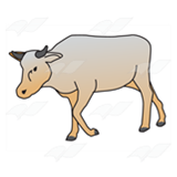 Lean Cow