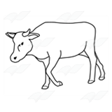 Lean Cow