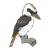 Kookaburra Color PNG