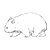 Wombat Line PNG