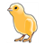 Orange Chick Color PDF
