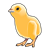 Orange Chick Color PNG