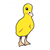 Standing Yellow Duckling Color PDF