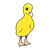 Standing Yellow Duckling Color PNG