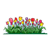 Patch of Tulips Color PNG