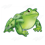 Green Spotted Frog