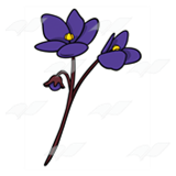 Long-Stemmed Purple Flowers
