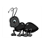 Little Black Ant Color PDF