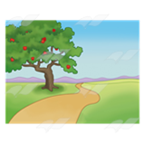 Apple Tree and Path