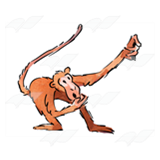 Monkey with Long Tail