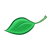 One Green Leaf Color PNG