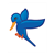 Blue Hummingbird Color PDF