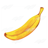 Yellow Banana 5