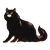 Hairy Black Cat Color PNG