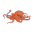 Orange Octopus Color PNG