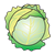 Cabbage Head Color PNG