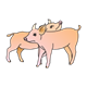 Two Pigs standing