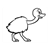 Baby Ostrich Line PDF
