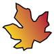 Maple Leaf with orange and yellow coloring