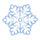White Snowflake with flower design