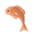 Orange Fish Color PNG