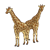 Two Adult Giraffes Color PNG