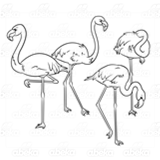 Four Pink Flamingoes