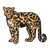 Tan Jaguar Color PDF
