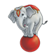 Circus Elephant balancing on a red ball