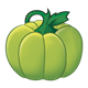 Green Pumpkin with stem
