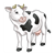 Black and White Cow Color PDF
