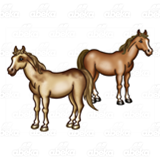 Two Brown Horses