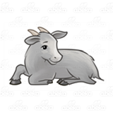 Gray Goat
