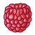 Whole Raspberry Color PNG