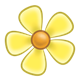 Yellow Flower with five petals and yellow center
