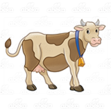 Spotted Brown Cow