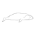 Bowhead Whale Line PNG